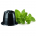 Green Tea &  Mint Nespresso Compatible Capsules
